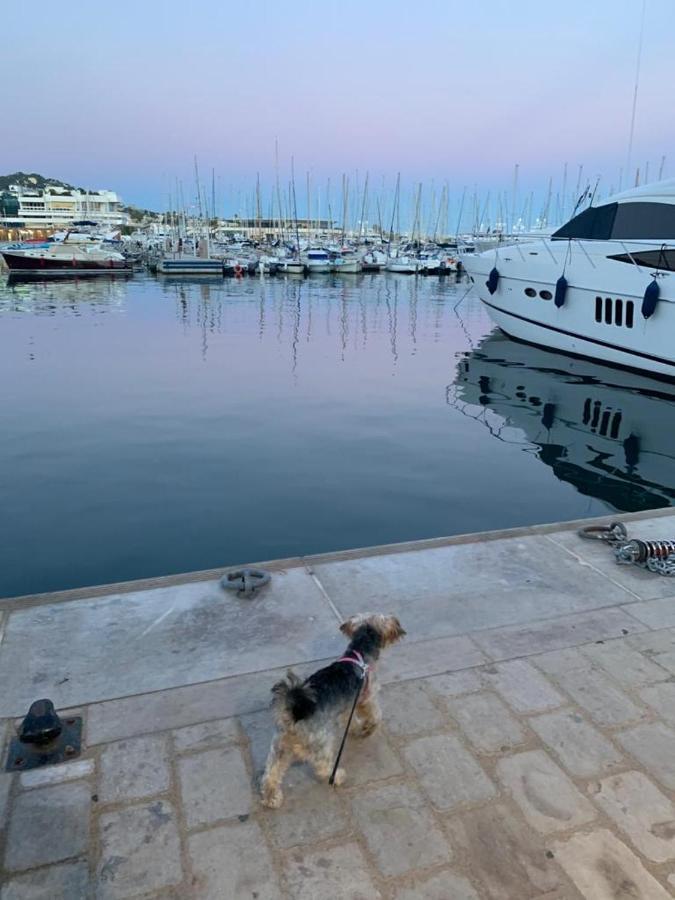 Cannes Old Port, Seafront & Seaview Best Air Conditioning And Location Exterior photo